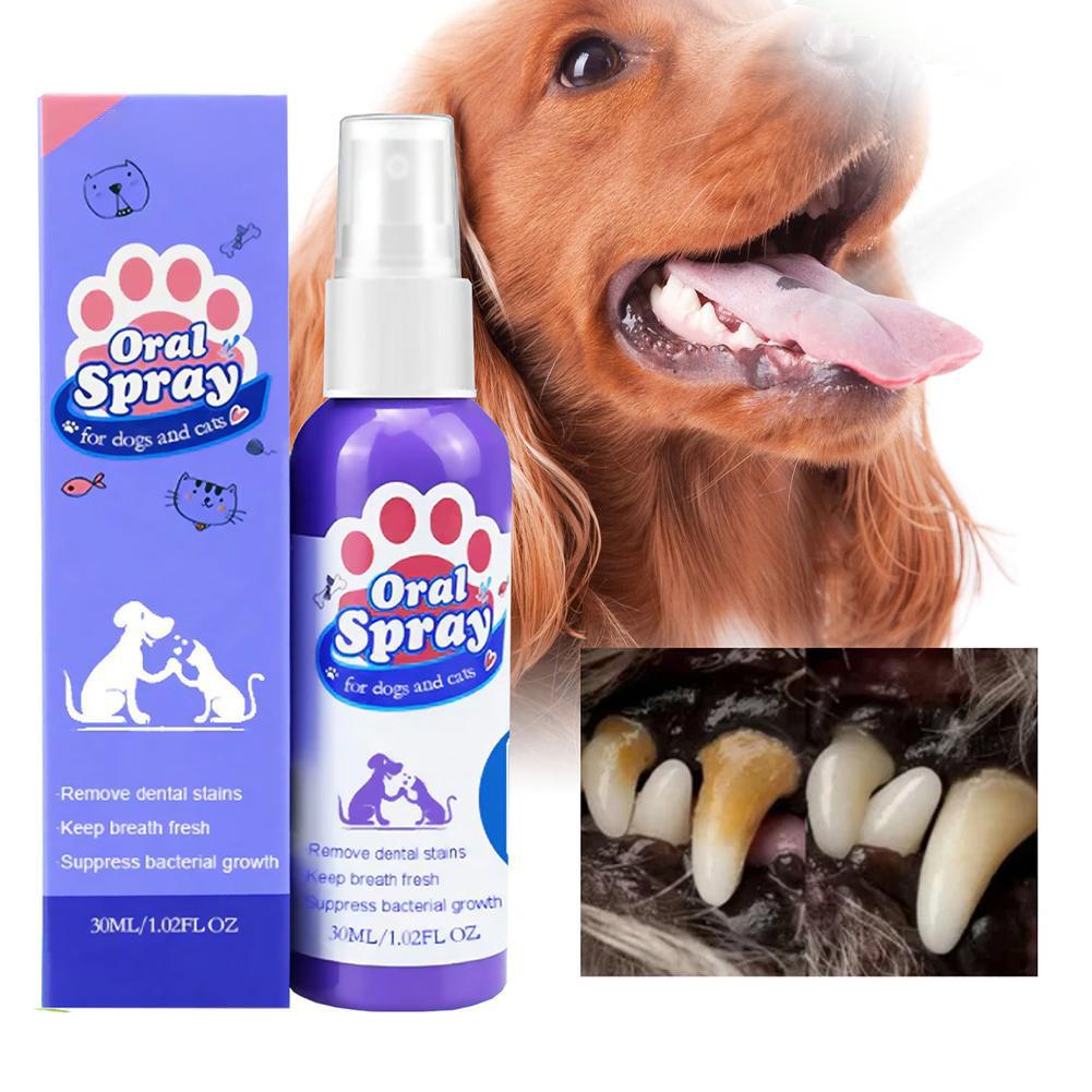 Спрей для полости рта домашних – обзор и цена Teeth Whitening Mouthwash